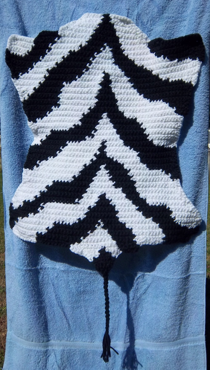 Zebra Stripe Rug 1
